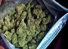 موادفروش سابقه‌دار در شوش دستگیر شد/ کشف ۱۱ کیلوگرم گل