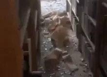 خطیب‌زاده، معاون عراقچی: اسرائیل حمله‌ای عمدی به یکی از ساختمان‌های وزارت امور خارجه انجام داد