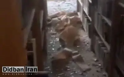 خطیبزاده، معاون عراقچی: اسرائیل حملهای عمدی به یکی از ساختمانهای وزارت امور خارجه انجام داد