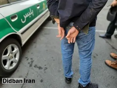 دستگیری سوداگر مرگ با 700 بسته موادمخدر در دهلران