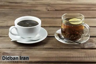 چای یا قهوه؛ کدام برای سلامت استخوان مفید است؟