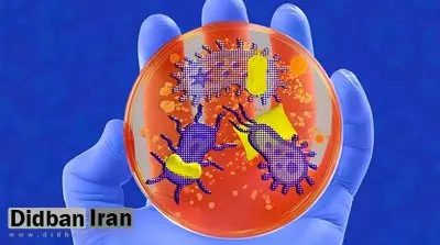 چگونه میکروب‌ها خواب ما را کنترل می‌کنند؟