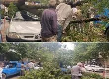 خسارت تندباد ۸۰ کیلومتری در بجنورد