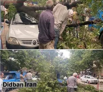 خسارت تندباد ۸۰ کیلومتری در بجنورد