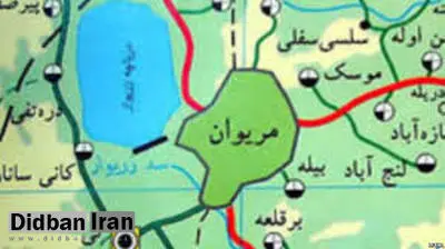 فرماندار مریوان :  11 بسیجی در درگیری با گروه‌های معاند به شهادت رسیدند