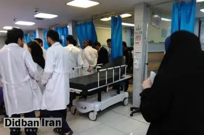 افزایش ۲۰ درصدی بازگشت دانشجویان ایرانی به کشور به دلیل افزایش هزینه ها/ دانشجویان رشته پزشکی در صدر