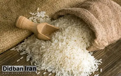 راهنمای خرید برنج ایرانی/ با انواع برنج ایــرانی آشنا شوید