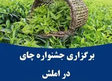 برگزاری جشنواره چای در املش
