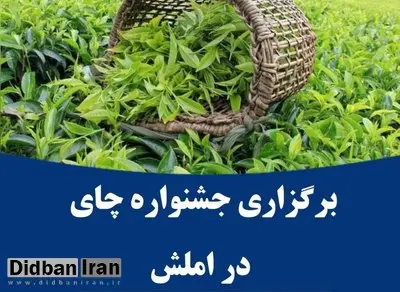 برگزاری جشنواره چای در املش