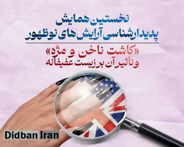 برگزاری همایش «ملی» درمورد «کاشت ناخن و مژه و تاثیر آن بر زیست عفیفانه» در شهر قم 