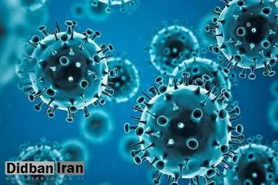 ثبت پنجمین فوتی مبتلا به آنفلوانزا در هرمزگان