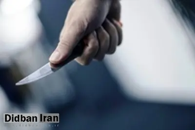 دادستان همدان خبر داد: ضارب طلبه همدانی دستگیر شد