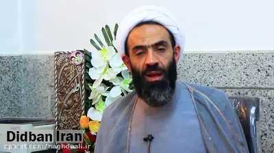 حجت الاسلام نقد علی:  سگ گردانی برای مردم تبدیل به «کلاس» شده، جلوی این کارها  را می گیریم/ مجلس با کلیات طرح صیانت از حقوق عامه مقابل حیوانات موافق است