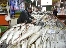 چرا ماهی گران شد؟