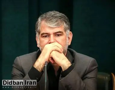 مدیرعامل ارگان اطلاع رسانی قوه قضاییه:  مرغ و گوشت در گمرک معطل ارز بودند اما اولویت ساداتی نژاد چای بود، «چای دبش»