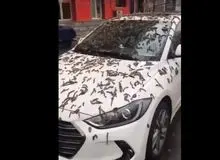 بارش کرم از آسمان در چین!+فیلم