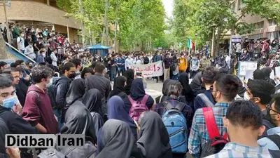 یک رسانه مدعی شد: دانشجویان دختر علامه طباطبایی مطالبه سلف مختلط دارند