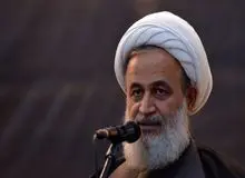 تصویری از روحانی لیدر تجمعات اعتراض به بی‌حجابی +عکس