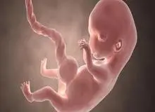 رئیس مرکز جوانی جمعیت: روزی ۱۰۰۰ سقط در کشور اتفاق می افتد!