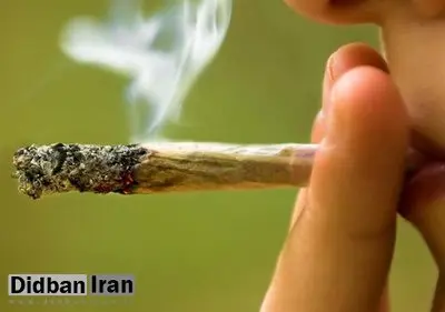 به چه گروهی می گوییم معتادان یقه سفید؟ / درباره معتادان یقه سفید بیشتر بدانید 