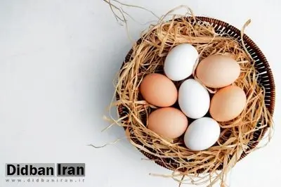 فواید معجزه‌آسای تخم مرغ برای پوست و مو