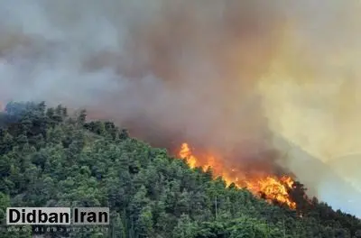 هشدار هواشناسی گلستان: خطر آتشسوزی در کمین جنگلها