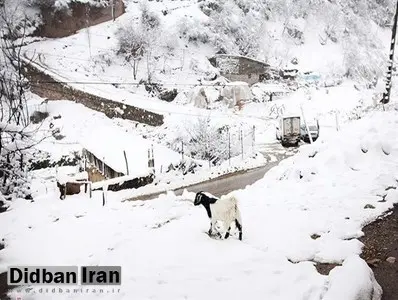 در پی بارشهای سنگین؛ ۷۵۰ روستای کرمانشاه در محاصره برف هستند