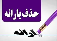 توضیح معاون سازمان برنامه و بودجه درباره حذف یارانه بگیرها