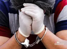 دو تبعه سوئدی در ایران بازداشت شدند
