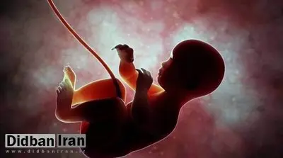 دبیر ستاد ملی جمعیت: ۸۷ درصد جوانان ۱۸ تا ۳۵ ساله تمایل به صفر تا دو فرزند دارند/ نرخ فعلی باروری در کشور به حدود ۱.۴۴ رسیده