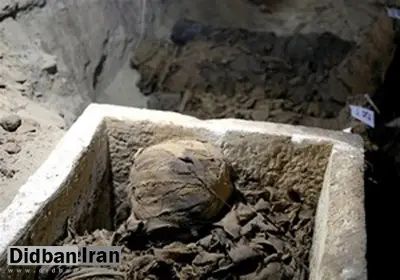 مومیایی سر در گم ری