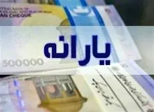 توضیحات وزیر رفاه درباره کالابرگ اعتباری: امکان دریافت نقدی یارانه همچنان فراهم است