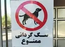 ارگان مطبوعاتی نزدیک به شهرداری: اجرای قانون ممنوعیت سگ گردانی، مردم را قانون شکن می کند؛ آن را اجرا نکنید/ قابلیت اجرا ندارد، رهایش می کنید
