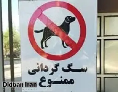 ارگان مطبوعاتی نزدیک به شهرداری: اجرای قانون ممنوعیت سگ گردانی، مردم را قانون شکن می کند؛ آن را اجرا نکنید/ قابلیت اجرا ندارد، رهایش می کنید