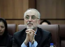 تکذیب بازداشت یک جاسوس در منزل رییس سازمان انرژی اتمی

