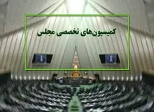 هشت وزیر دولت در کمیسیون های تخصصی مجلس حضور می یابند