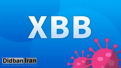 همه چیز درباره واریانت جدید XBB.1.5/ آیا کرونا قوی تر شده است؟