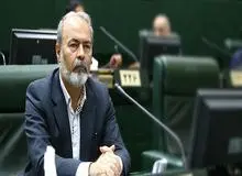 نماینده مجلس: چینی‌ها برای لاستیک‌های کهنه عاج درست می‌کنند