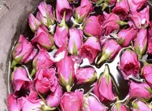 چگونه می توان با گلاب جوش های صورت را بین برد ؟