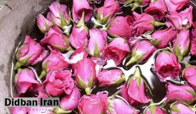 چگونه می توان با گلاب جوش های صورت را بین برد ؟