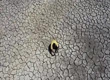 بیش از نیمی از هورالعظیم خشک است/ صفر شدن ورودی آب به تالاب