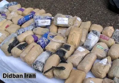 کشف ۷۵۰ مورد مواد مخدر جاسازی شده توسط سگهای موادیاب