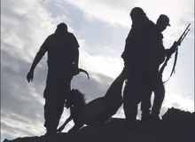 حمله مسلحانه و ضرب‌و‌شتم پرسنل منابع طبیعی کهگیلویه و بویراحمد