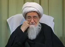 قدردانی آیت‌الله‌ صافی گلپایگانی از حضور وزیر کشور در کنار مردم سیل‌زده