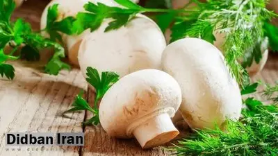 فواید شگفت انگیز قارچ برای قلب