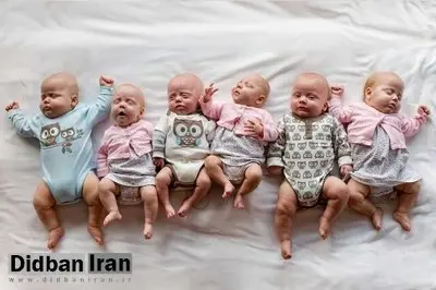 تهران رکورد دار چند قلوزایی در کشور