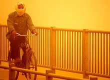 نمایندگان خواستار برگزاری جلسه اضطراری هیات دولت در استان خوزستان شدند / لزوم رسیدگی به مشکلات زیست‌محیطی