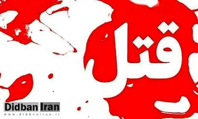 قتل تبعه بیگانه در داراب دستگیر شد