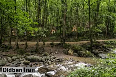 لیست 10 تایی از بهترین کلاس آموزش عکاسی در تهران