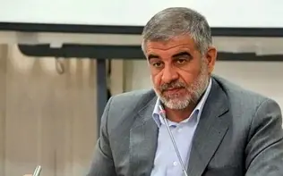 مجلس ادعای «تابعیت مردان خارجی با ازدواج صیغه‌ای» را تکذیب کرد/ جوکار: هیچ ماده‌ای درباره تابعیت در لایحه سازمان مهاجرت وجود ندارد